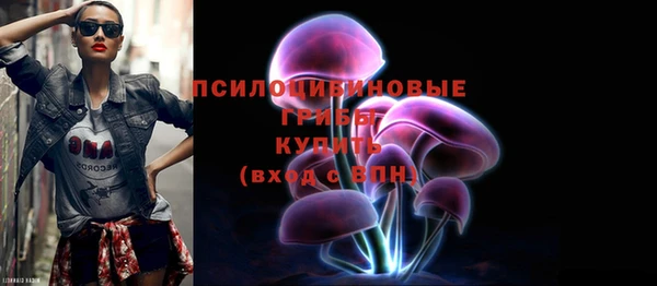Альфа ПВП Нязепетровск