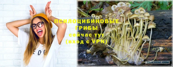 круглые Няндома