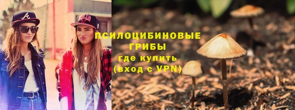 а пвп мука Болотное