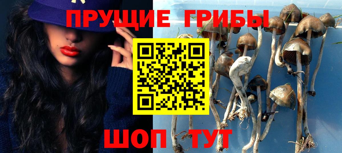 Санкт-Петербург  Галлюциногенные грибы ЛСД  Псилоцибиновые грибы Magic Shrooms  Вход с VPN 